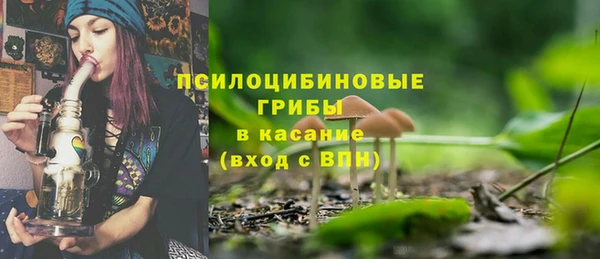 герыч Арсеньев