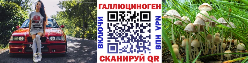 закладки  Родники  Псилоцибиновые грибы GOLDEN TEACHER 